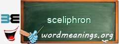 WordMeaning blackboard for sceliphron